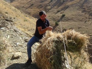 Teleferikle dağda ot indirilmeye başlandı