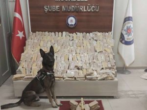282 kilo eroin ele geçirildi