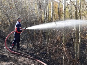 Hakkari'deki orman yangının anında müdahale