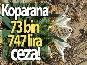 koparana 73 bin 747 lira ceza