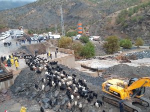 Şemdinli'de sel etkili oldu!