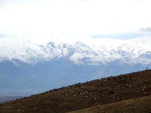 Van ve Hakkari için kar yağışı uyarısı
