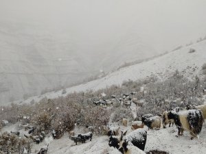 Kar yağdı dağda mahsur kaldılar