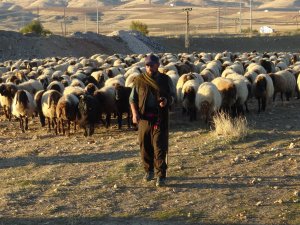 Göçerlerin zorlu dönüş yolculuğu sürüyor