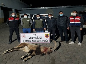 Yaban keçisi avlayan 4 kişiye 36 bin 589 lira ceza