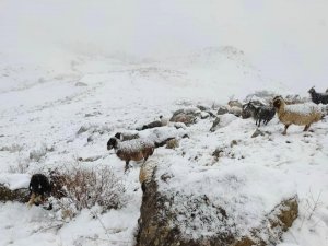 Dağlar beyaza büründü