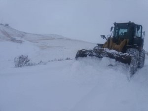 Saray’da kar hayatı olumsuz etkiledi