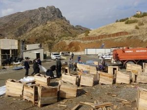 Sokak hayvanları için önemli bir adım atıldı