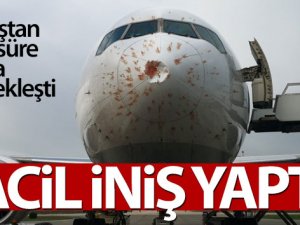 Kuş sürüsüne giren THY'nin kargo uçağı geri döndü