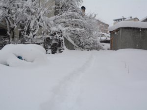 Hakkari’de 328 yerleşim yeri kapandı
