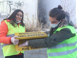 Buz tutan kentte kuşlar için sıcak yuva