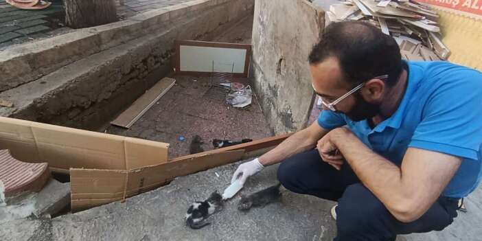 Esnaf ve Mahalleli 5 yavru kedi için seferber oldu