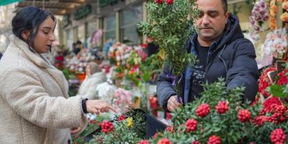 Yeni yıl çiçekleri raflarda yerine aldı