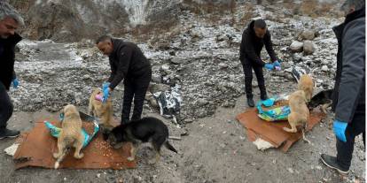 Belediye ekipleri kar altında can dostlara yiyecek bıraktı