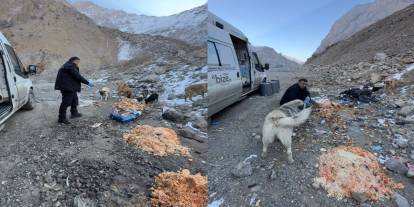 Hakkari'de dondurucu soğukta can dostlara yiyecek bırakıldı