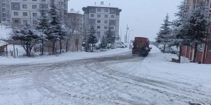 Hakkari'de kar yağışı ve sis etkili oluyor