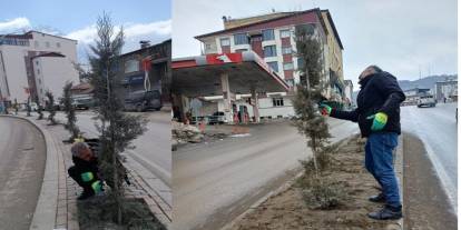 Hakkari’de ağaç bakım ve park temizliği başlatıldı