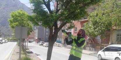 Belediyeden Yeşil Alan Atağı