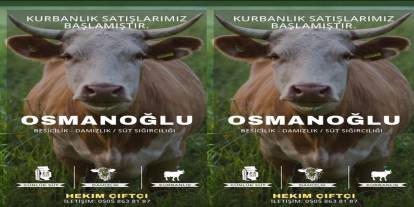 Hakkari’de 10 Yıllık Emek: Hekim Çiftçi Kurbanlık satışlarına başladı