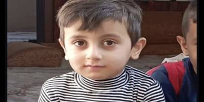 Erik Ağacına Çıkan Çocuk Havuza Düşerek Boğuldu