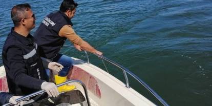 Sazangiller için av yasağı başladı