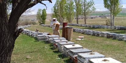 Hayvancılığa 7,3 Milyon TL Hibe Desteği