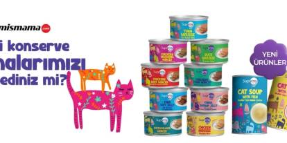 Brit Care Kedi Maması: Kalite ve Ekonomi Dengesi
