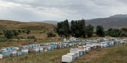 Cilo Dağı arıcılarını güldürdü