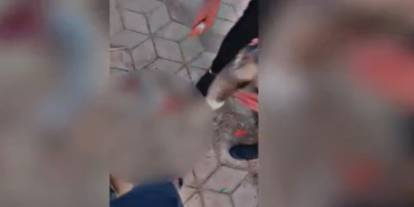 Tilkiyi vahşice öldürüp paylaşan 2 kişi gözaltına alındı