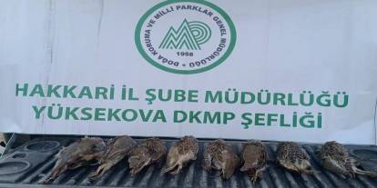 Kaçak keklik avlayan şahsa cezai işlem uyguladı