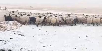 Ağrı Zeynel köyüne kar yağdı