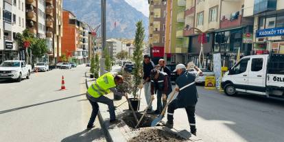 Hakkari’de ağaçlandırma çalışmaları devam ediyor