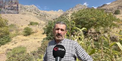 Ceylanlı Dağ keçileri kalesi