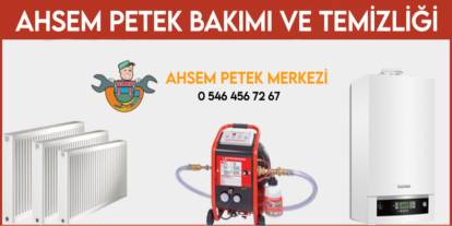 Ahsem Petek Bakımı ile kışa hazırlık başladı!