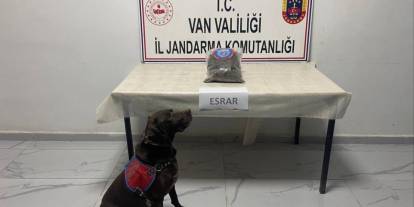 Yüksekova'da 999 gram kubar esrar ele geçirildi