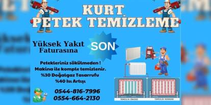 Kurt Petek Temizleme: Kış gelmeden faturanızı hafifletin!