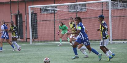 Hakkarigücü, Fenerbahçe'ye 2-0 mağlup oldu