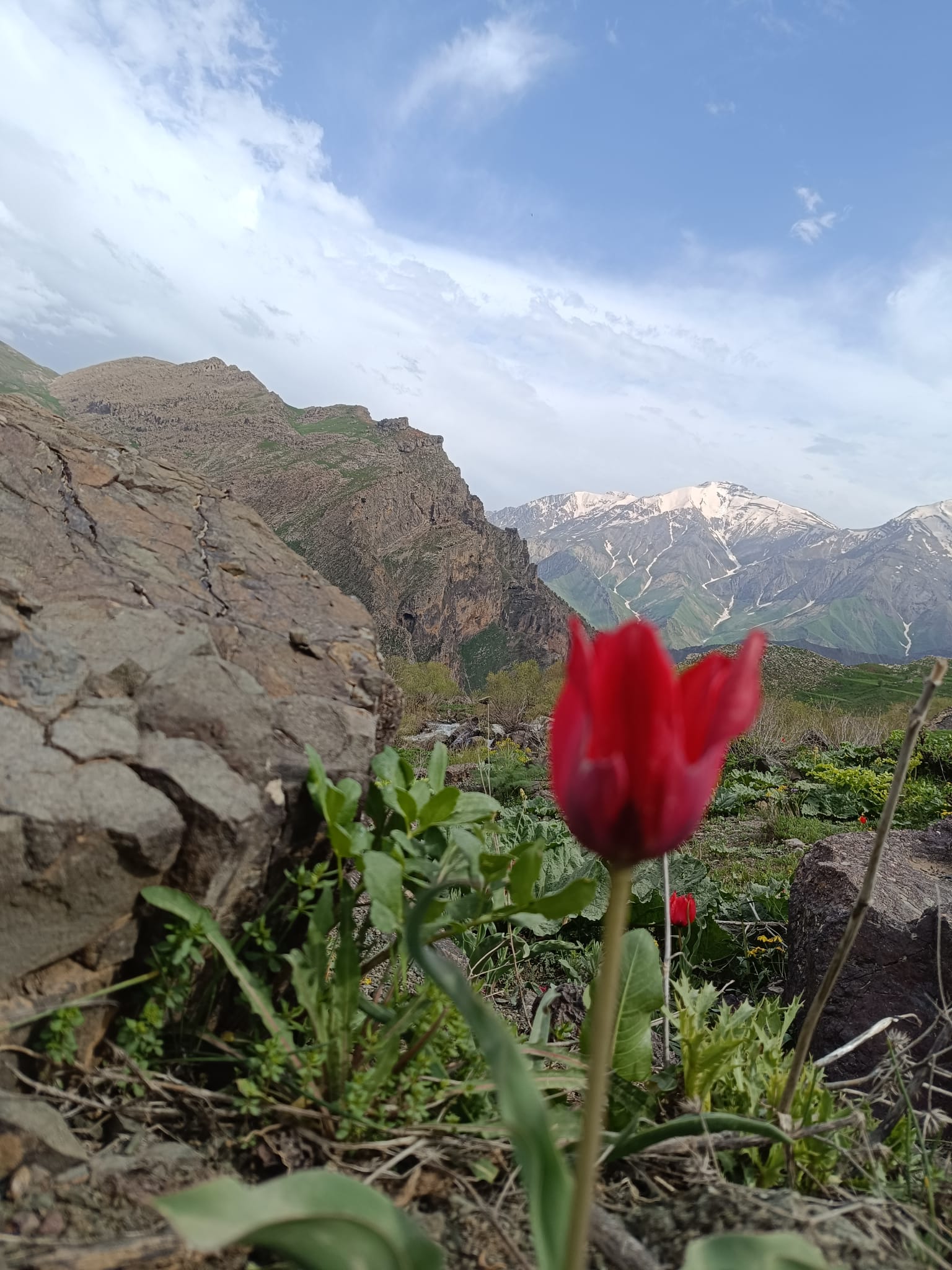 whatsapp-gorsel-2025-05-05-saat-08-23-22-cf355506.jpg