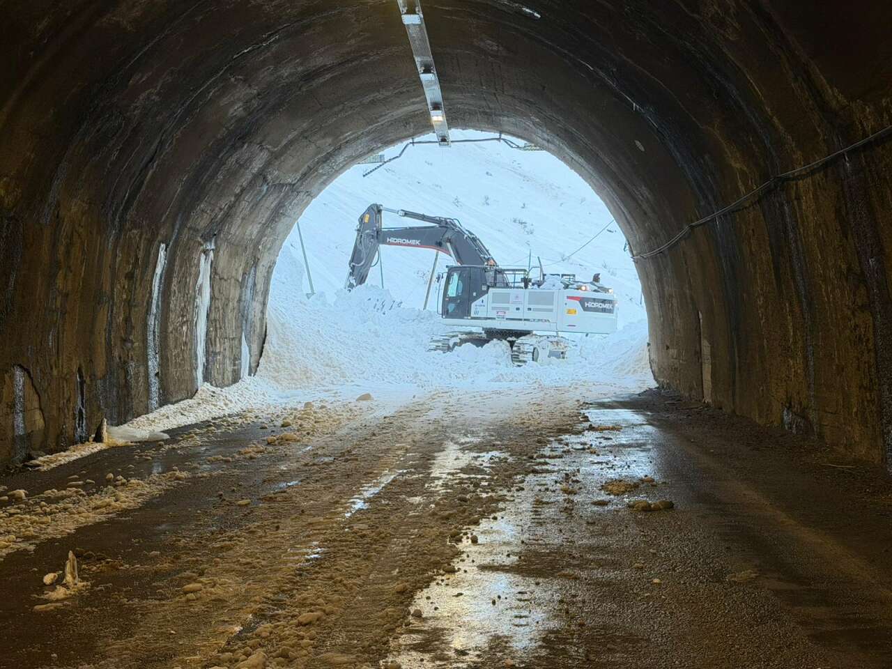 019ce88d-8c70-4fe1-8014-c04cf487133d