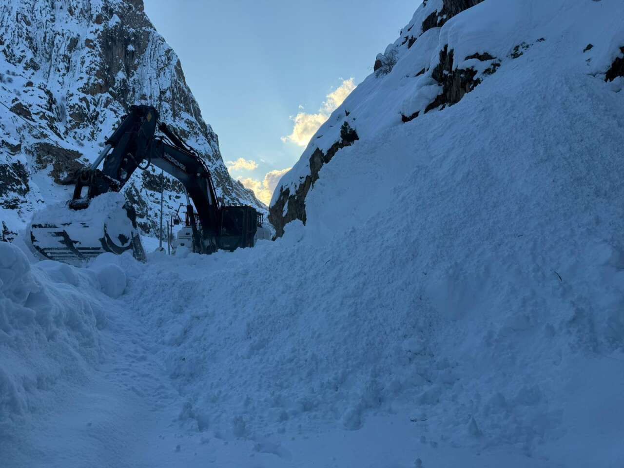 50c24217-0cd5-4e5c-b0cf-99f5be24d8ca