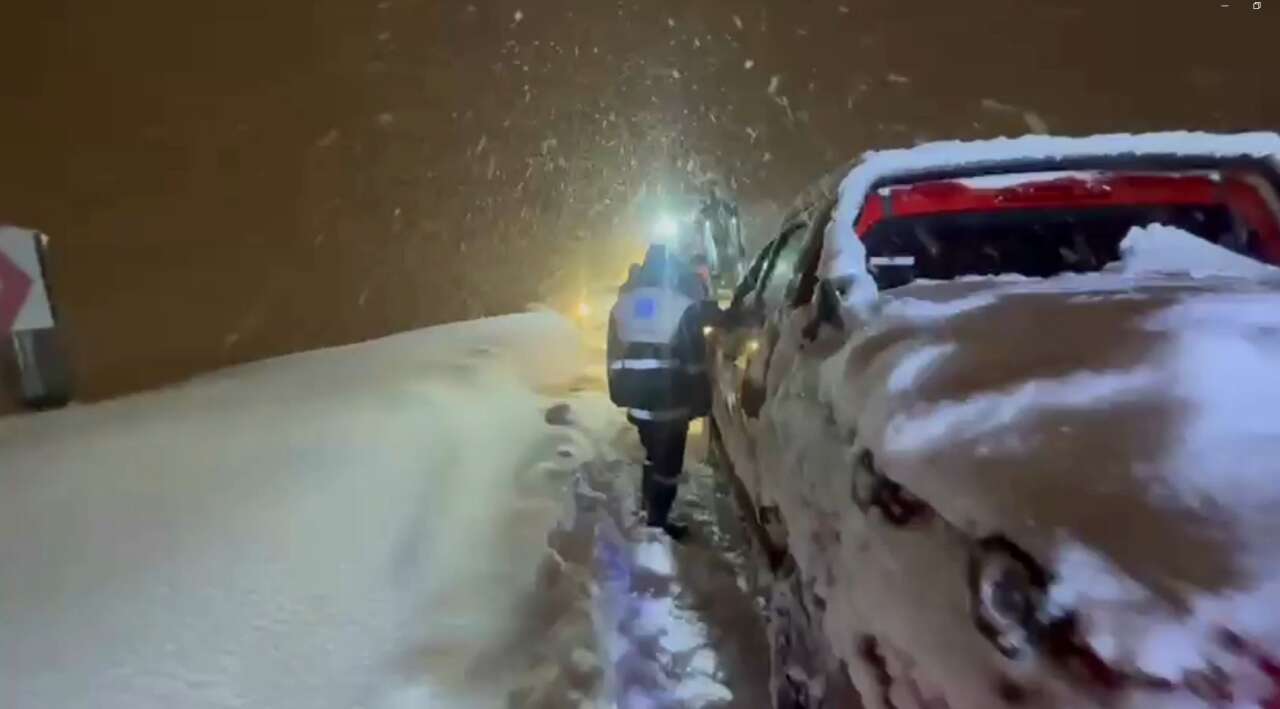 su-ariza-jpg-1-jpg-2