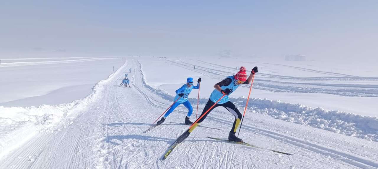 3384c6d5-1c0d-4d79-879d-89308a074918