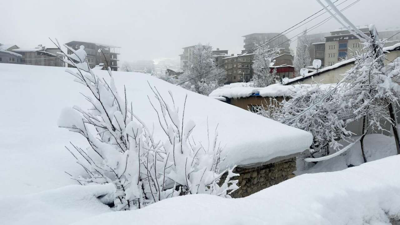 kara-gomulen-hakkari