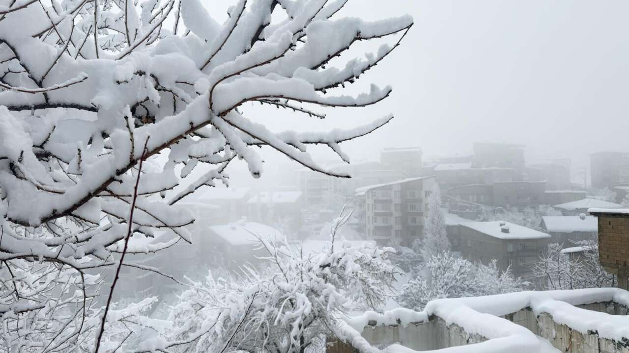 kara-gomulen-hakkari