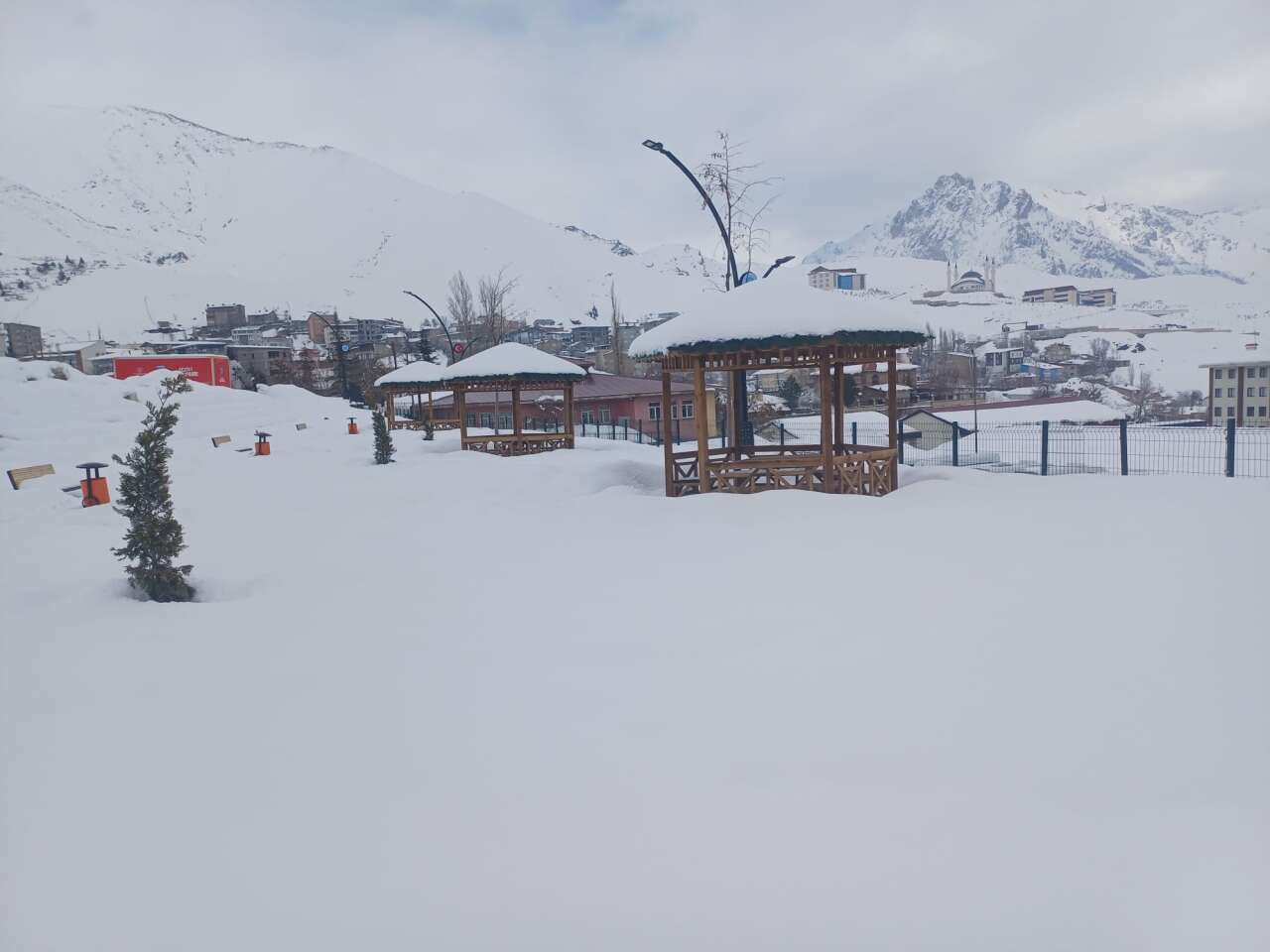 whatsapp-image-2026-01-11-at-12-29-59