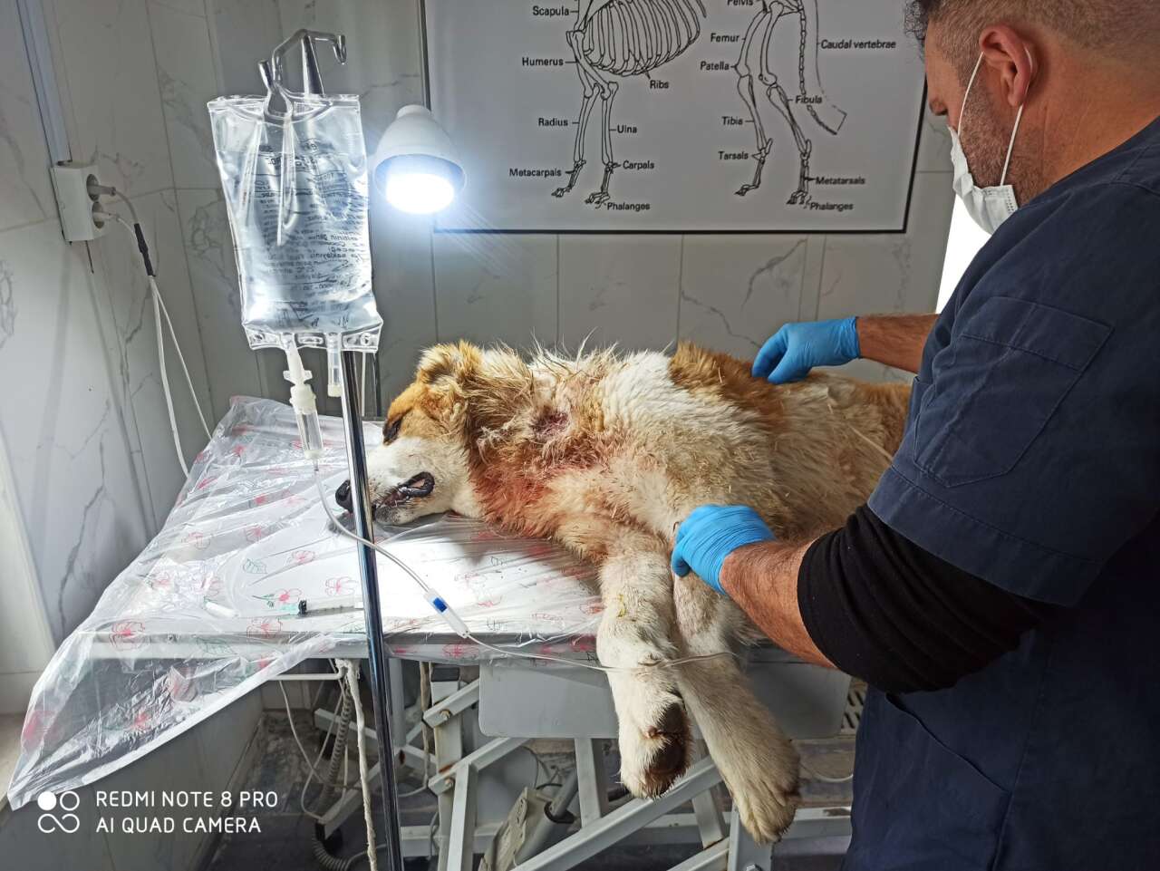 4ee63c13-4364-4ce3-85a2-efdce1ff85c4