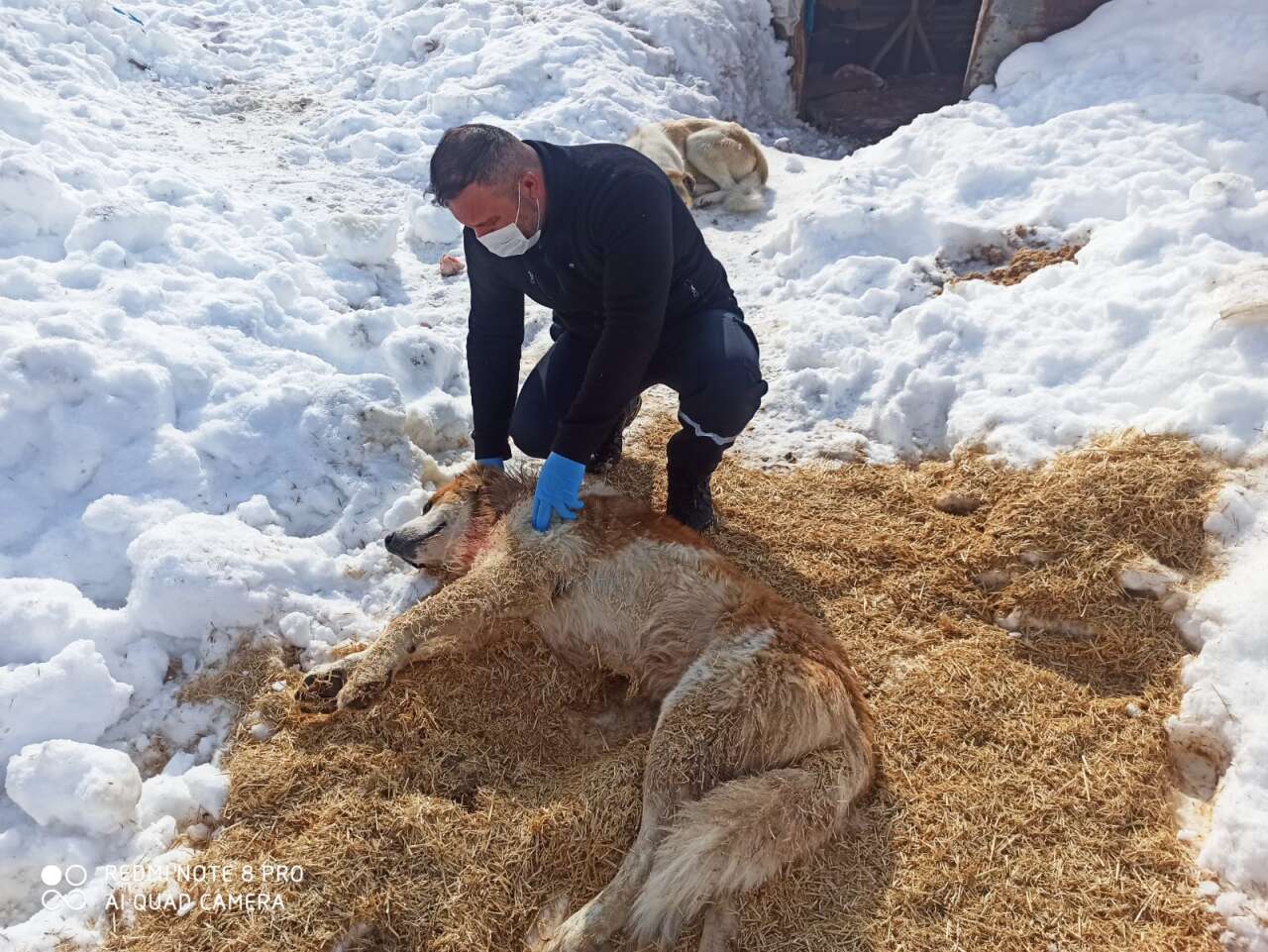 5851cd57-9a86-42ae-8a68-7c3d158145fb