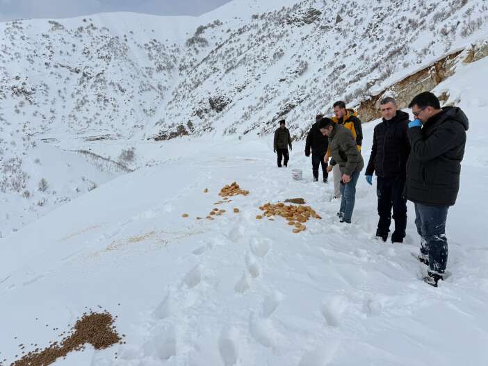 22c7a915-fc46-46c3-bb13-0a02e66cb66d