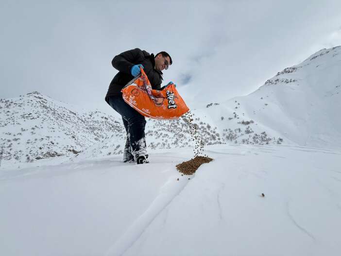 8cec9dc2-7993-44bb-8018-13e70c6d3e61