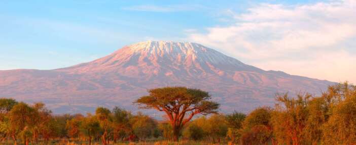 whatsapp-image-2026-01-30-at-15-56-37-jpeg-2